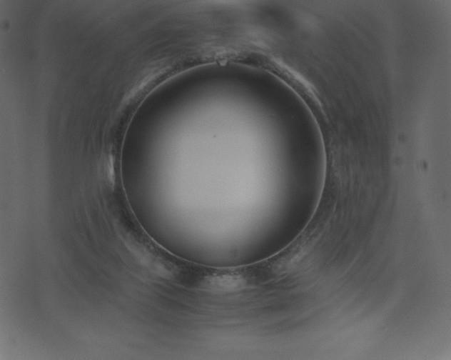 X0000074330067200608251336