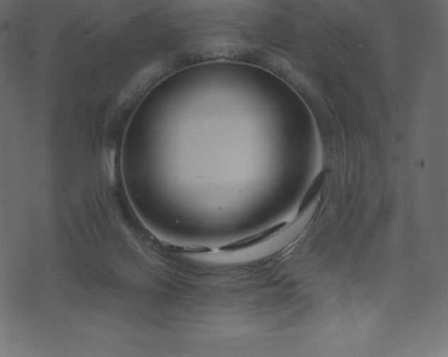 X0000074330070200608251336