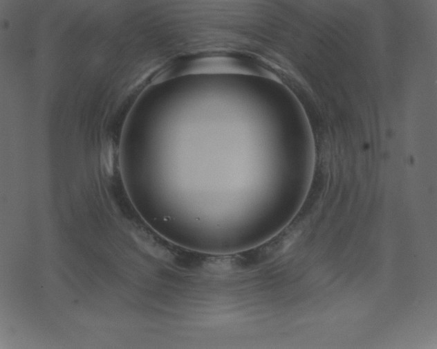 X0000074330076200608251336