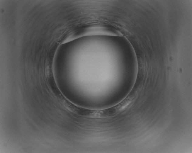 X0000074330080200608251336