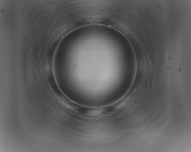 X0000074330084200608251336