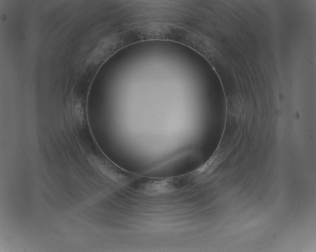 X0000074330086200608251336