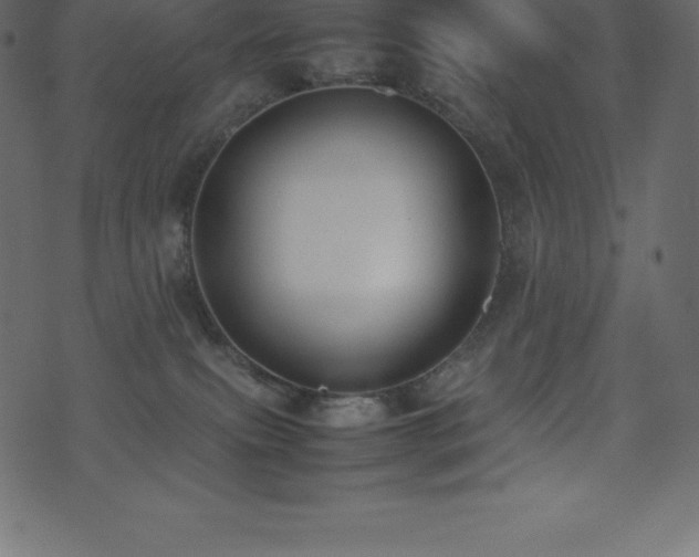 X0000074330087200608251336