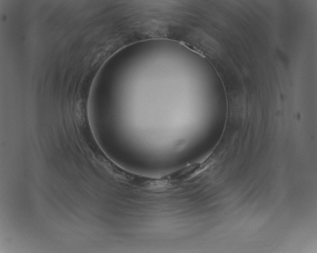 X0000074330088200608251336
