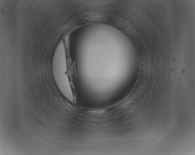 X0000074330089200608251336