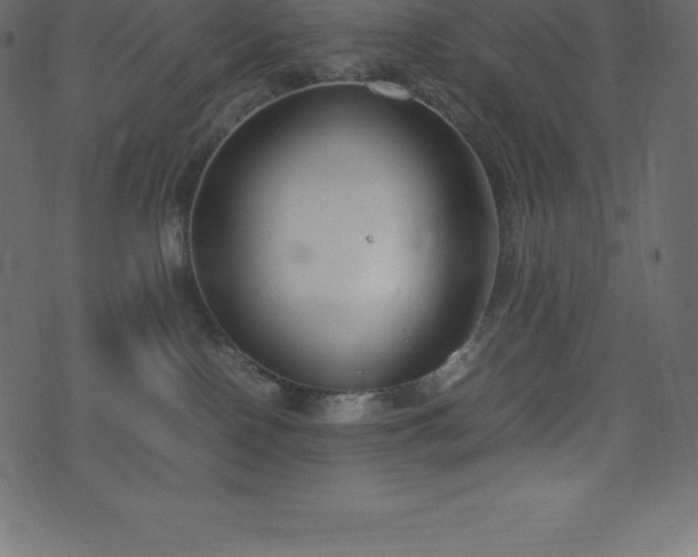X0000074330090200608251337