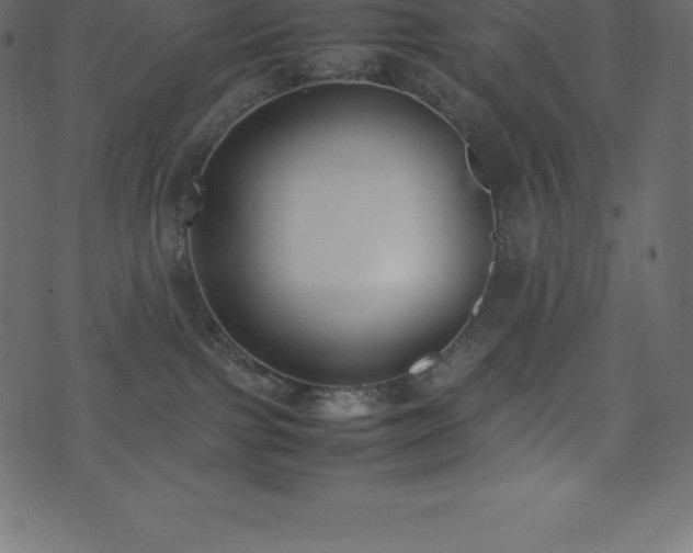 X0000074330091200608251337