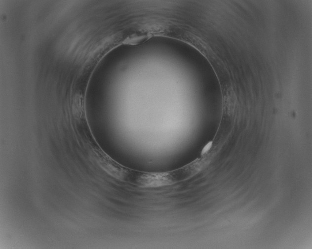X0000074330093200608251337