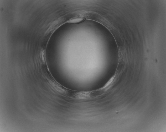 X0000074330094200608251337