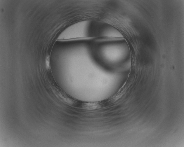 X0000074330095200608251337