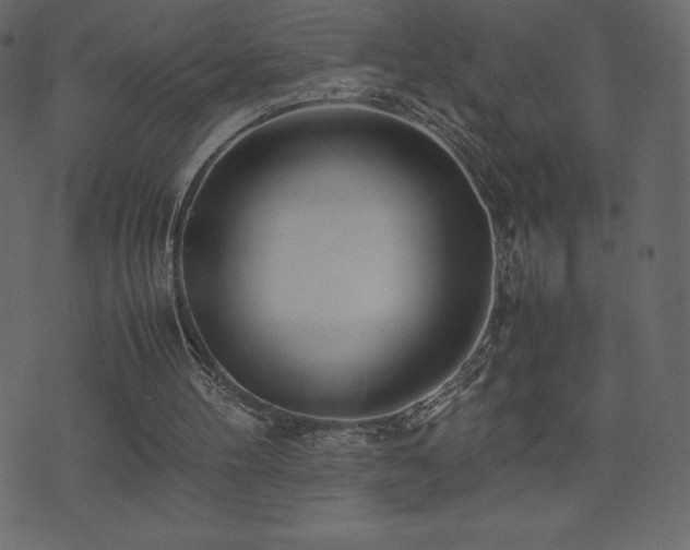 X0000074330100200608251336