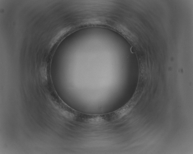 X0000074330112200608251336