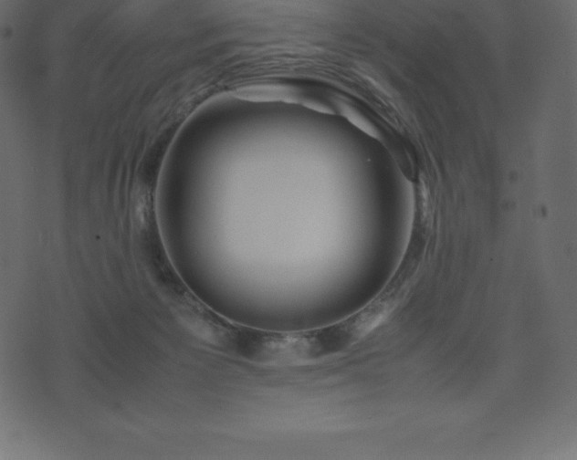 X0000074330125200608251335