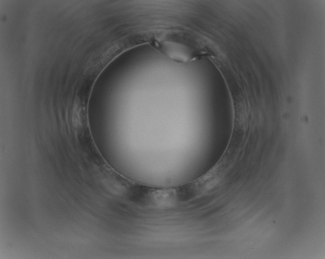 X0000074330126200608251335