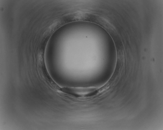 X0000074330127200608251335