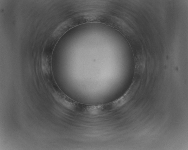 X0000074330136200608251335