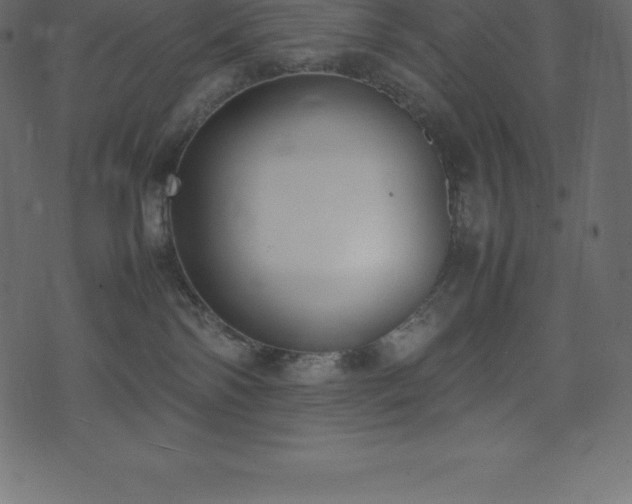 X0000074330138200608251335