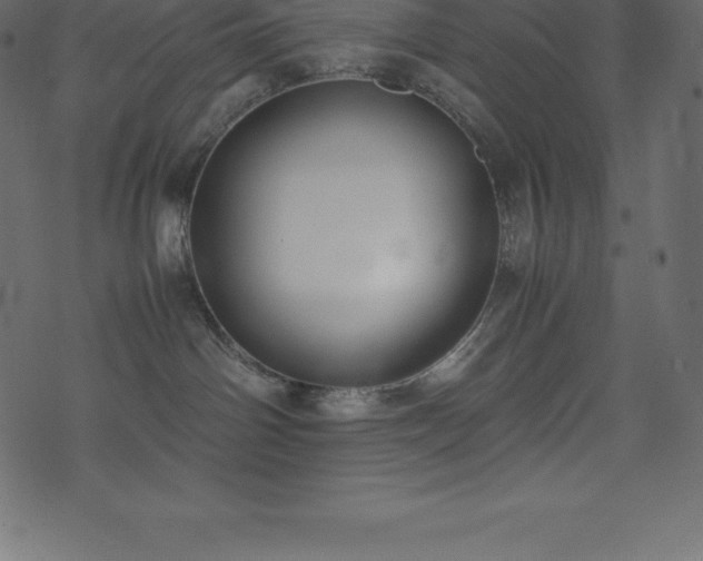 X0000074330142200608251335