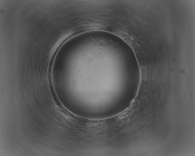X0000074330147200608251334