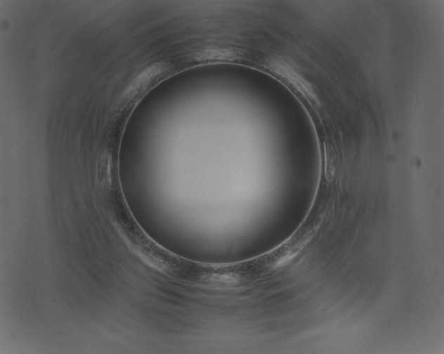 X0000074330157200608251334