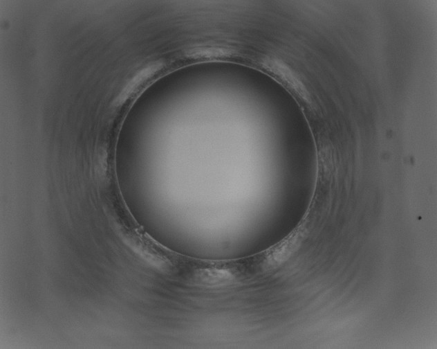 X0000074330159200608251334