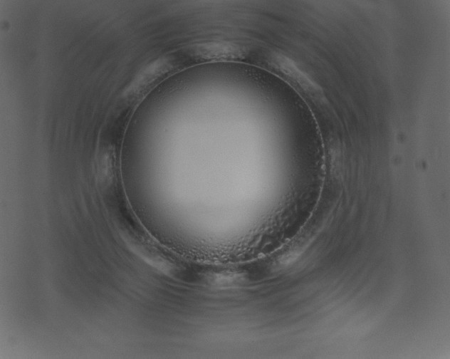 X0000074330165200608251335