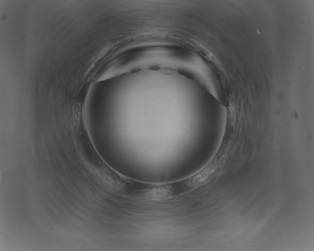 X0000074330168200608251335