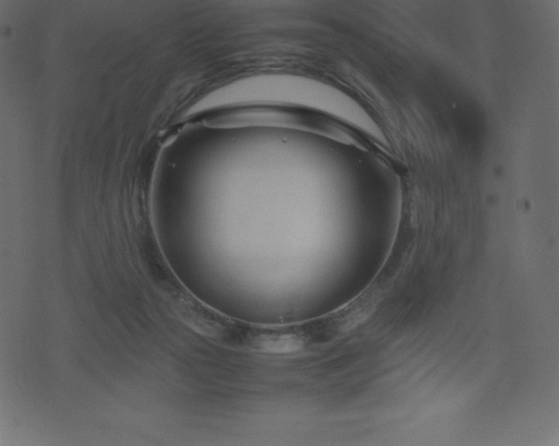 X0000074330169200608251335