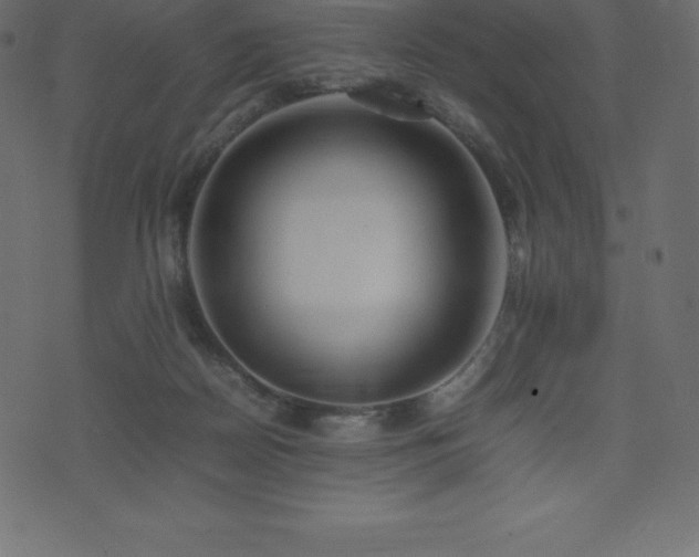 X0000074330170200608251335
