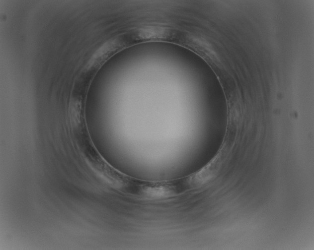 X0000074330171200608251335