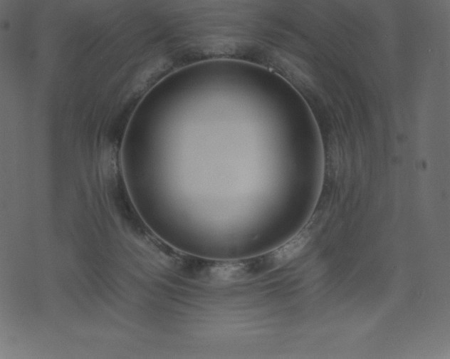 X0000074330172200608251335