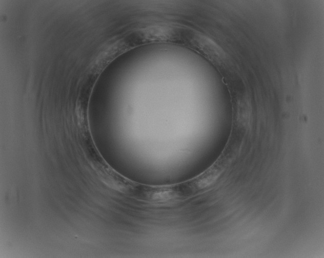 X0000074330173200608251335