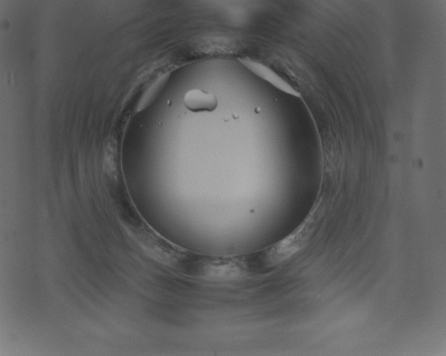X0000074330175200608251335