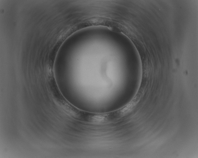 X0000074330176200608251335