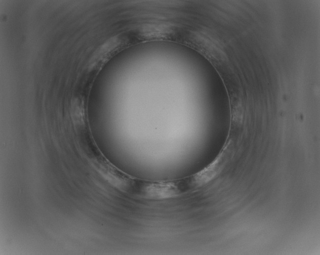 X0000074330179200608251335