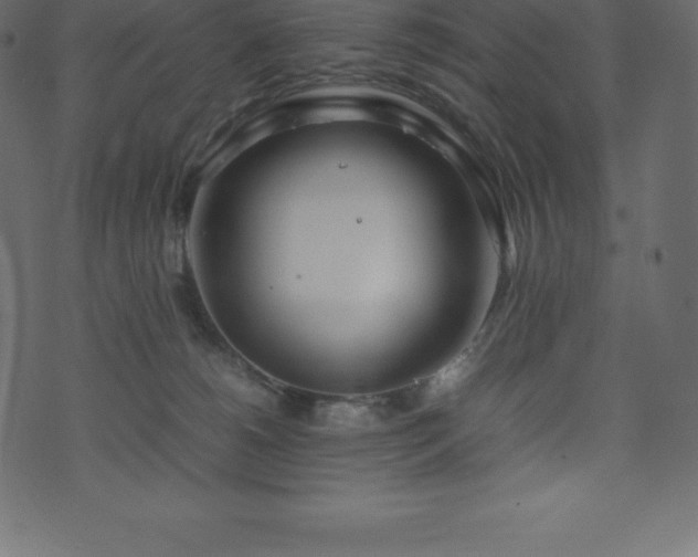 X0000074330180200608251335