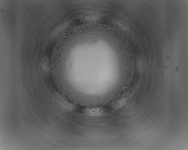 X0000074330181200608251335