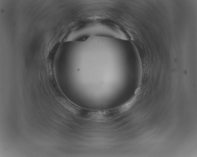 X0000074330182200608251335
