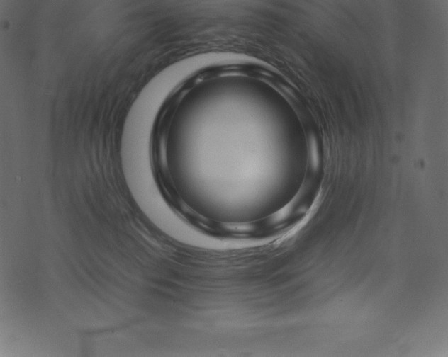 X0000074330186200608251335