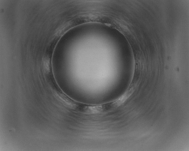 X0000074330188200608251335