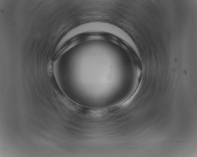 X0000074330190200608251335