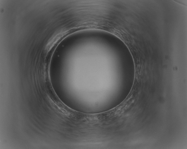 X0000074330194200608251334