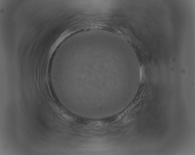 X0000074330195200608251334