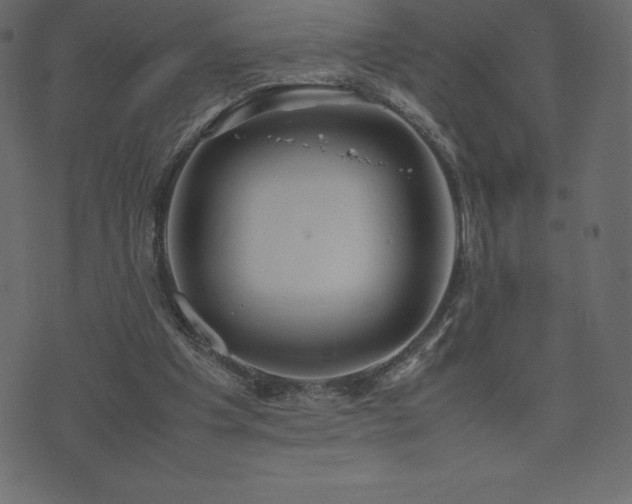 X0000074330201200608251334