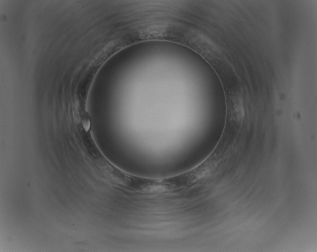 X0000074330224200608251334