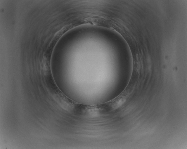 X0000074330228200608251334