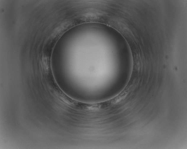 X0000074330232200608251334