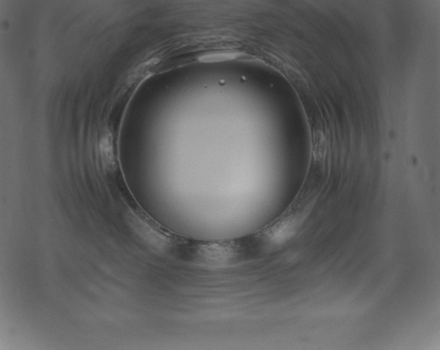 X0000074330238200608251334