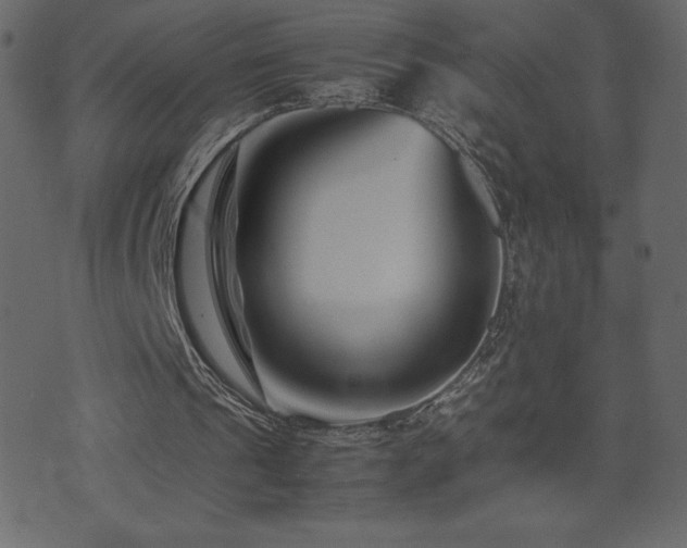 X0000074330241200608251333