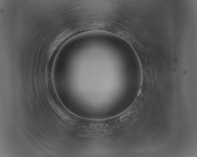 X0000074330242200608251333